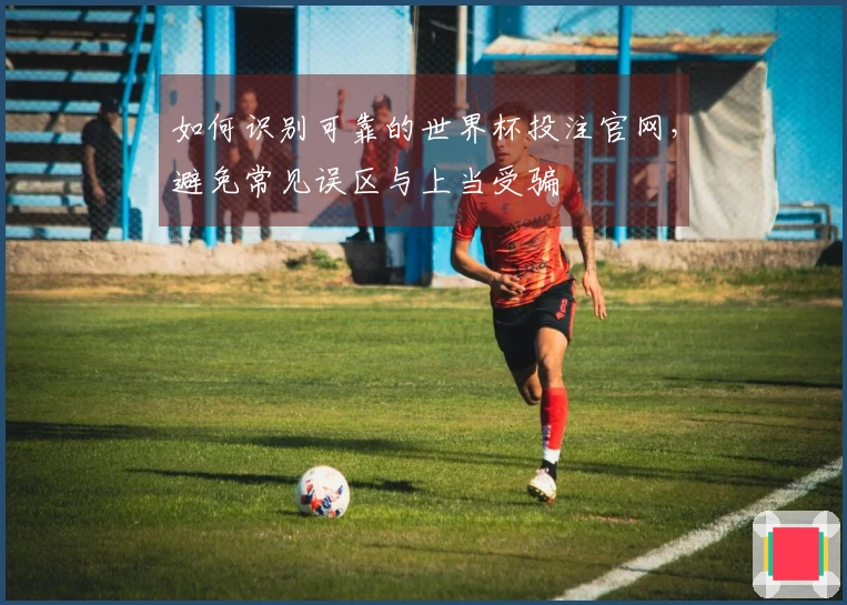 如何识别可靠的世界杯投注官网，避免常见误区与上当受骗