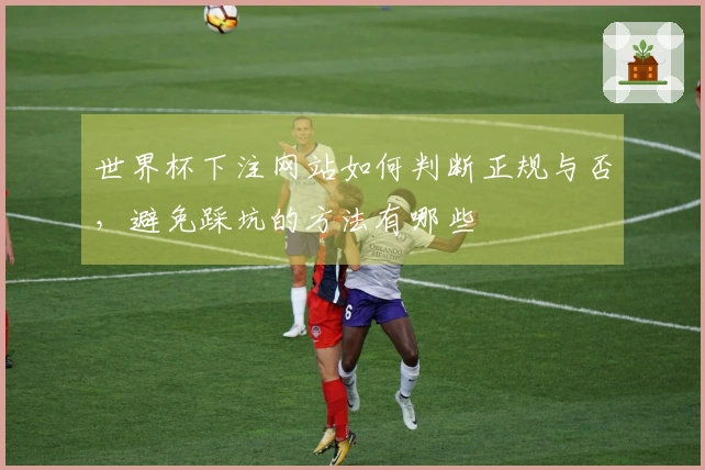世界杯下注网站如何判断正规与否，避免踩坑的方法有哪些