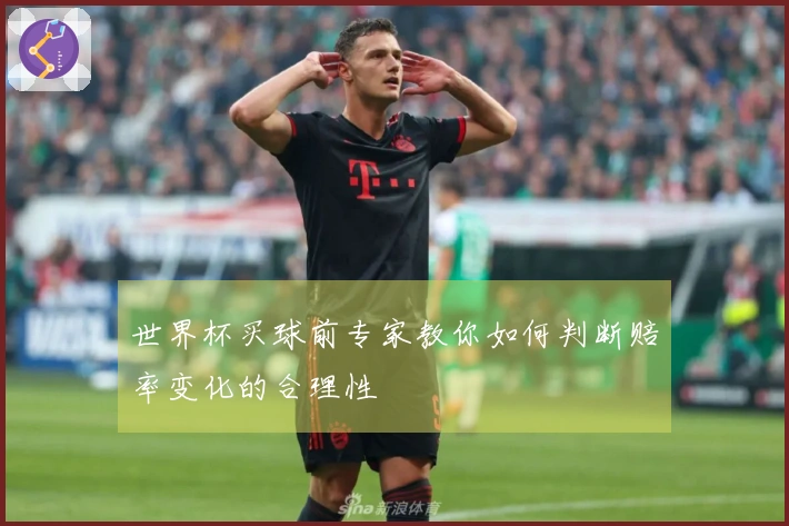 世界杯买球前专家教你如何判断赔率变化的合理性