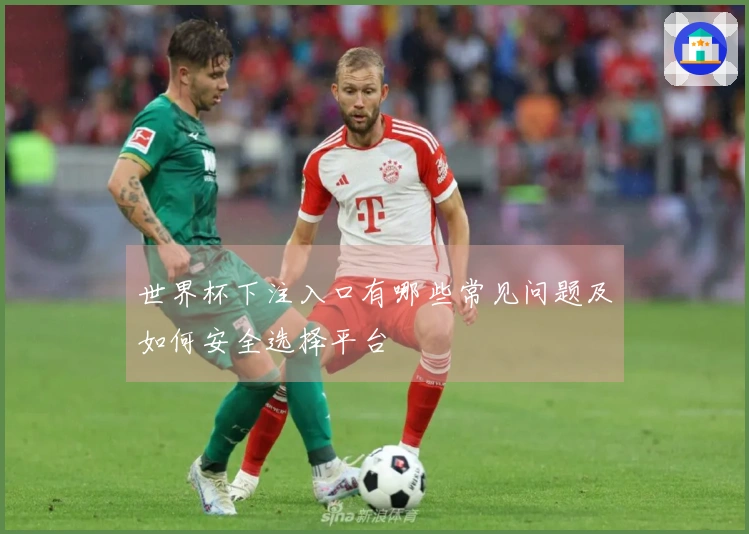 世界杯下注入口有哪些常见问题及如何安全选择平台