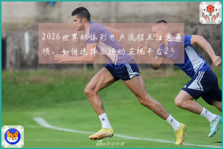 2026世界杯体彩开户流程及注意事项，如何选择合适的正规平台？