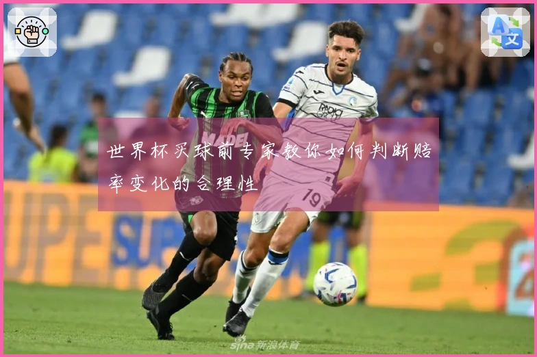 世界杯买球前专家教你如何判断赔率变化的合理性